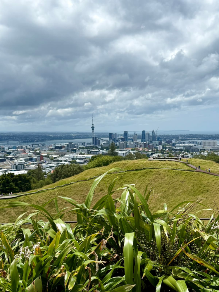 View of Auckland skyline from the top of Mount Eden in Auckland, New Zealand.