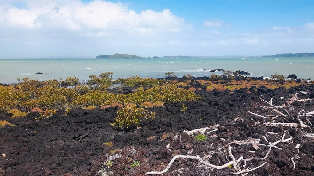 Black lava rocks along the shoreline of Rangitoto Island with ocean water in Auckland, New Zealand.